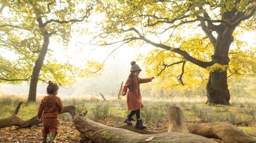 Children enjoying the park in autumn at Dunham Massey, Cheshire